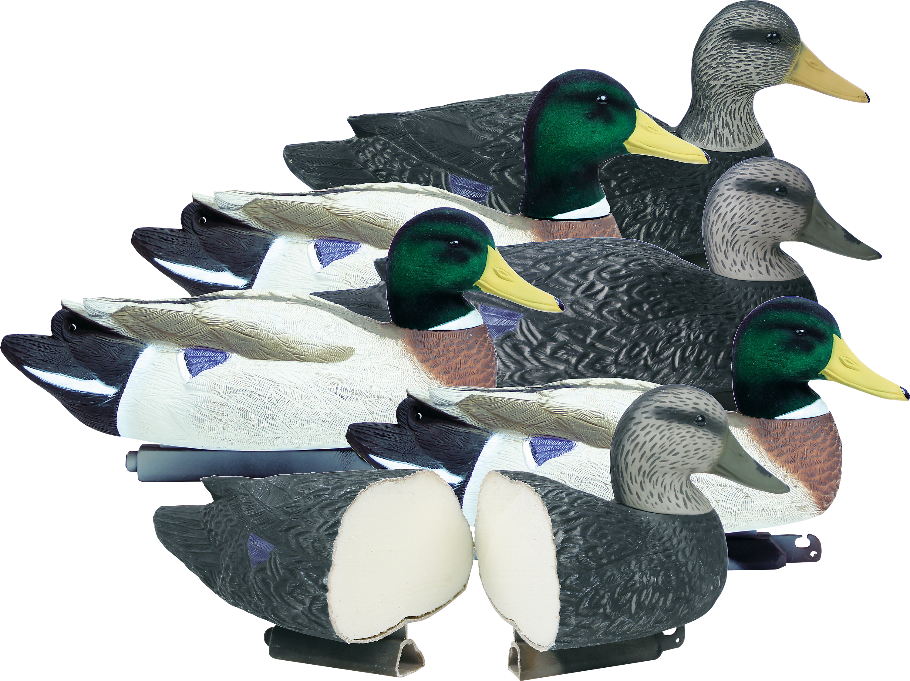 Higdon Battleship Power's Duck Decoy 6 Pack 3 Mallards & 3 Black Duck